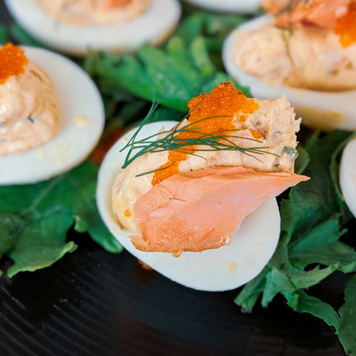 Deviled Eggs Appetizer Kit DockBox by Local Ocean